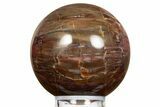 Colorful Petrified Wood (Araucaria) Sphere - Madagascar #323600-1